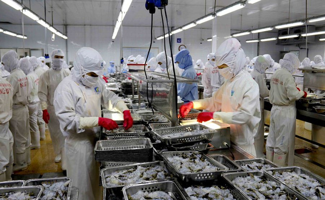 "Cần thay đổi nhận thức để hướng đến nghề cá bền vững hơn" ảnh 1