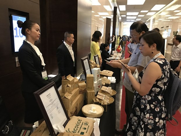 Nhiều cơ hội cho doanh nghiệp tăng xuất khẩu sang Tây Ban Nha ảnh 2