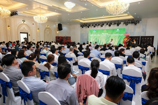 Xuất khẩu gạo: ‘Tận dụng thời cơ nhưng phải giữ an ninh lương thực’ ảnh 4