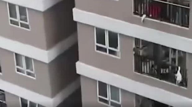 Hà Nội tặng bằng khen thanh niên cứu cháu bé rơi từ tầng cao chung cư ảnh 1