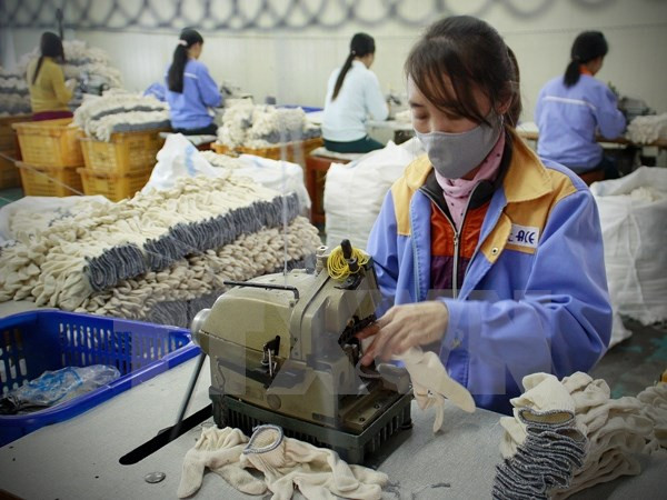 Ảnh chỉ mang tính minh họa (Nguồn: TTXVN) "Hiểu biết của doanh nghiệp về Cộng đồng Kinh tế ASEAN còn thấp" ảnh 3