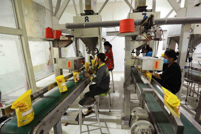 Gỗ, dệt may: Những ngành hàng tỷ USD giữ vị thế tại thị trường Hoa Kỳ ảnh 3