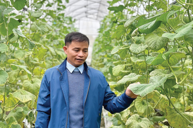 Ông Nguyễn Tuấn Hồng, Hợp tác xã Bắc Hồng. (Ảnh" PV/Vietnam+) H-01.jpg