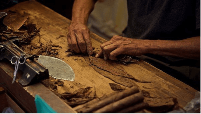 Quy định hạn ngạch thuế quan nhập khẩu thuốc lá nguyên liệu năm 2023 ảnh 1