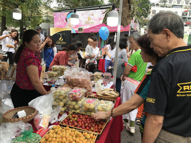 Canada hỗ trợ Việt Nam phát triển và quản lý chợ trong đô thị ảnh 1