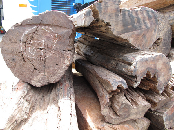 Giấu hơn 2 tấn gỗ trắc trong cốp xe giường nằm vẫn không thoát ảnh 4