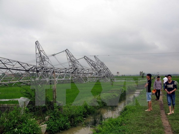 Bộ Công Thương vào cuộc kiểm tra vụ đổ cột điện đường dây 500 kV ảnh 1