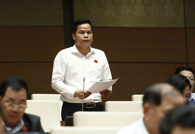 Đại biểu Quốc hội nêu giải pháp để phòng chống bạo lực gia đình ảnh 2