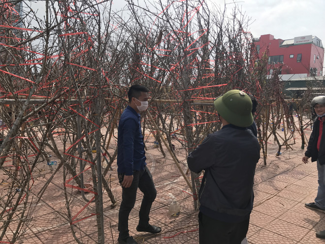 Hà Nội yêu cầu ứng trực 24/24 giờ để tiếp nhận thông tin về COVID-19 ảnh 1