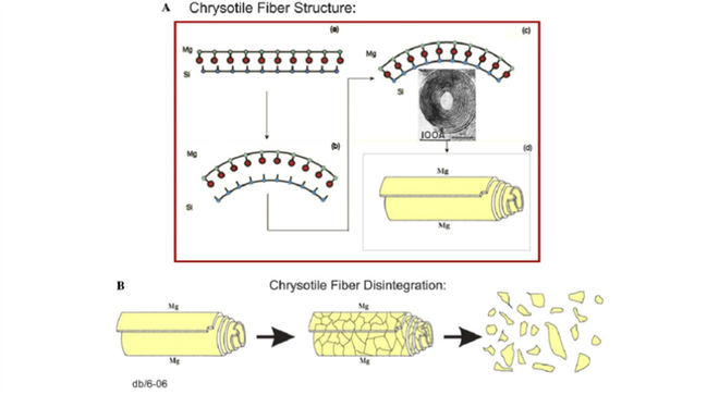 Vấn đề an toàn khi sử dụng các vật liệu chứa amiăng trắng ảnh 1