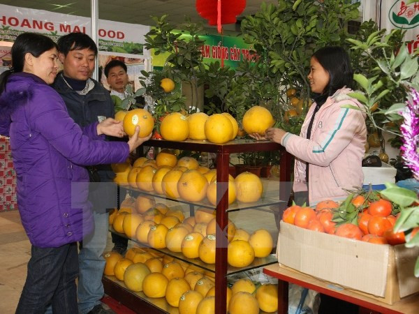 Bài học dưa hấu: "Nông dân muốn thấy vai trò nhà nước mạnh mẽ hơn" ảnh 3