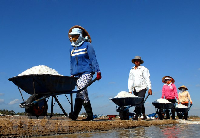 Không áp dụng hạn ngạch nhập khẩu muối, trứng gia cầm có xuất xứ ASEAN ảnh 1