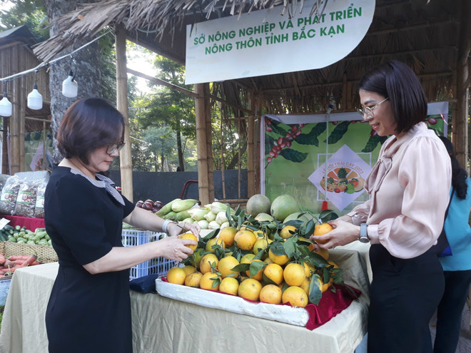 Đặc sản 6 vùng miền quy tụ tại Lễ hội trái cây thành phố Hà Nội ảnh 1