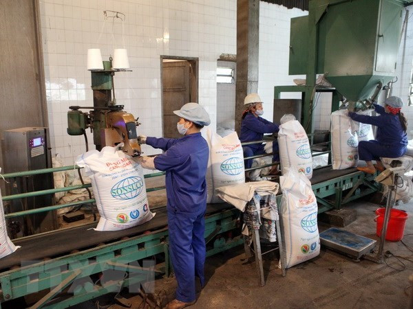 Năm 2023, nhập khẩu 119.000 tấn đường theo phương thức đấu giá ảnh 1