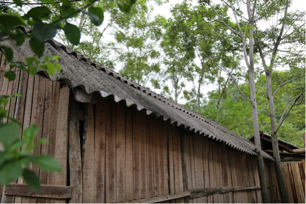 Cần có đánh giá khoa học về sản xuất và sử dụng amiăng trắng ảnh 1