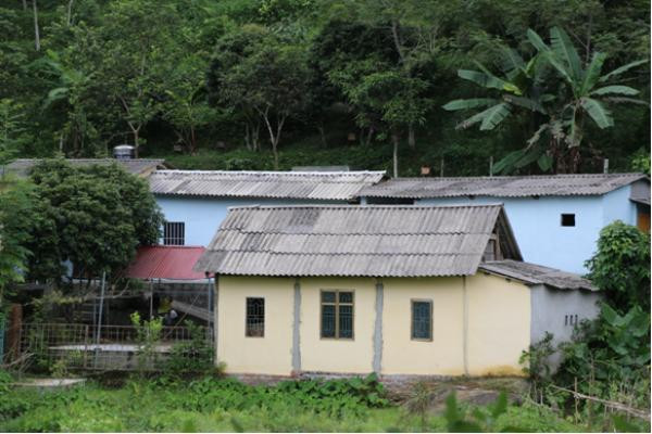 Tấm lợp amiăng và thực tế sử dụng có kiểm soát tại các nước ảnh 1