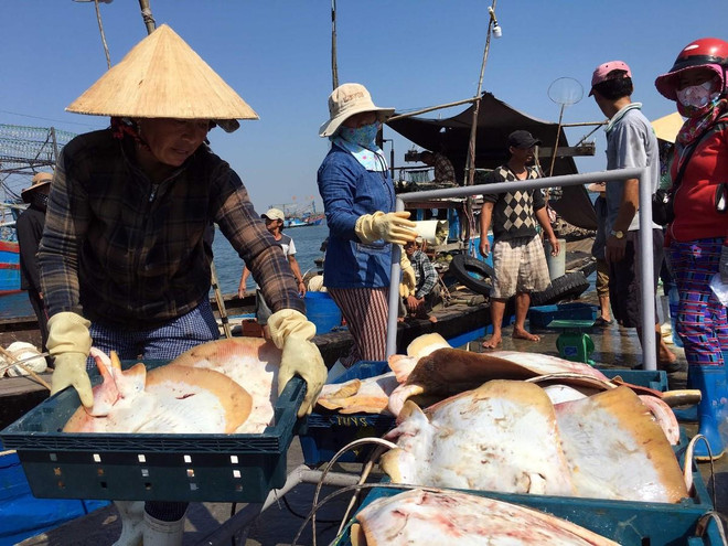 Bài 5: Ngành thủy sản vươn ra đại dương để phát triển kinh tế biển ảnh 1