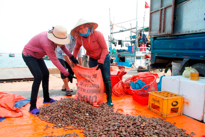 Bài 5: Ngành thủy sản vươn ra đại dương để phát triển kinh tế biển ảnh 3