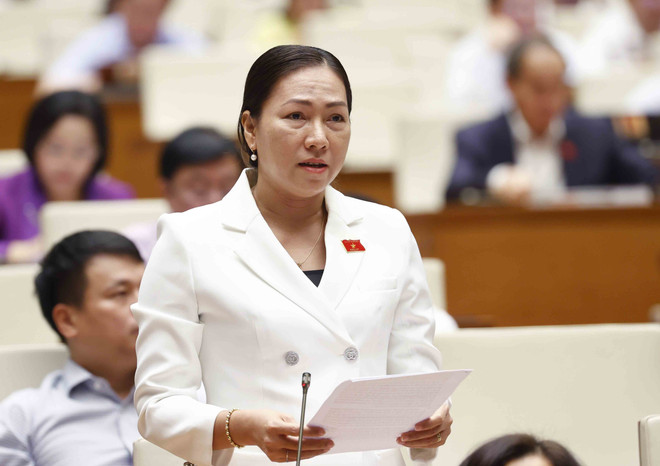 Đại biểu Quốc hội: Cần mở rộng quyền người trúng đấu giá biển số ôtô ảnh 3