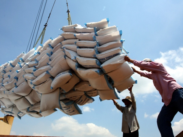 Bộ Công Thương kiến nghị xuất khẩu 400.000 tấn gạo trong tháng Tư. (Ảnh: TTXVN) Xuất khẩu gạo song vẫn bảo đảm tuyệt đối an ninh lương thực quốc gia ảnh 1