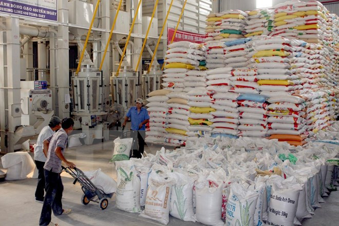 Hạn ngách xuất khẩu đối với mặt hàng gạo trong tháng Tư là 400.000 tấn. (Ảnh: TTXVN) Bộ Công Thương xin ý kiến về đề nghị cho phép xuất khẩu gạo nếp ảnh 1