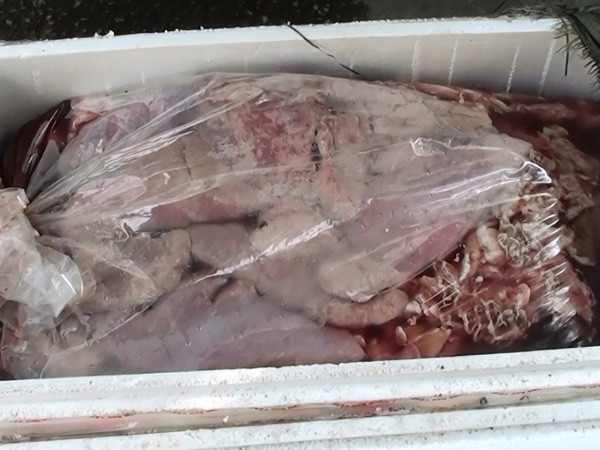 Hà Nội bắt 600 kg nội tạng bẩn đang trên đường tiêu thụ ảnh 1