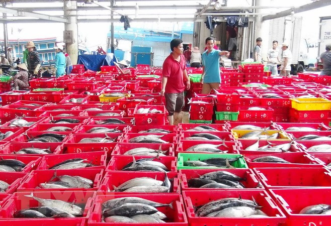 Thẻ vàng thủy sản: Chuẩn bị mọi điều kiện để đoàn EU giám sát ảnh 1