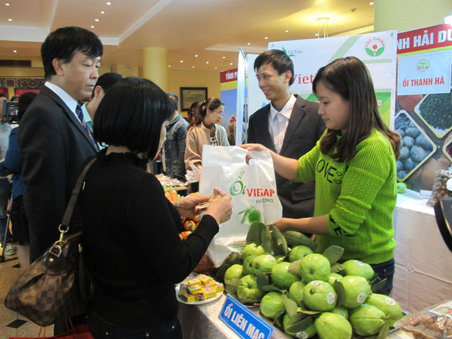 Kết nối cung-cầu: Phải tạo ra chuỗi giá trị từ sản xuất đến tiêu dùng ảnh 1