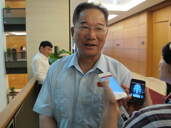 Đại biểu quốc hội: Trồng mắcca tự phát sẽ gây phá hoại vùng quy hoạch ảnh 1