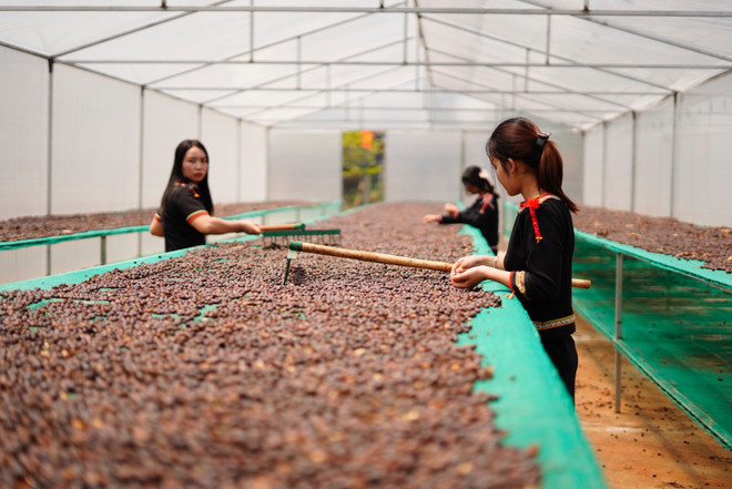 Xây dựng thương hiệu: Cơ hội để nông sản bứt phá tại thị trường lớn ảnh 2