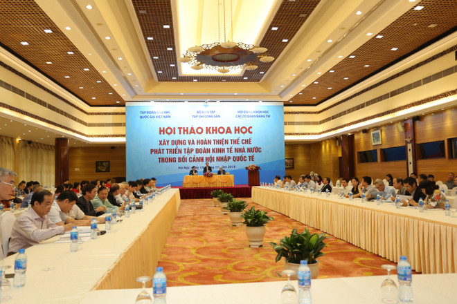 Hoàn thiện thể chế nhằm phát triển tập đoàn kinh tế nhà nước ảnh 2