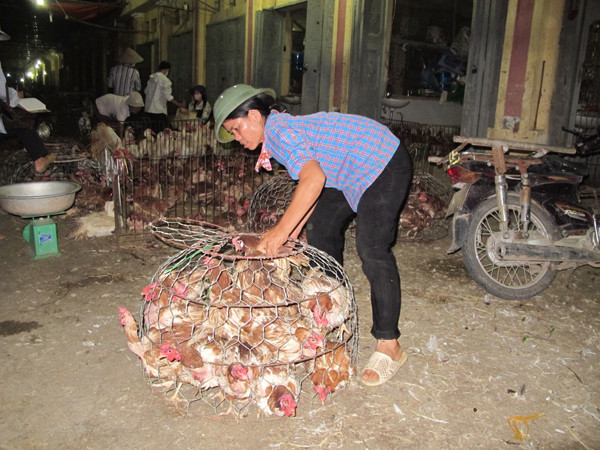 Hà Nội đã kiểm soát được gia cầm nhập lậu đưa vào chợ Hà Vỹ ảnh 1