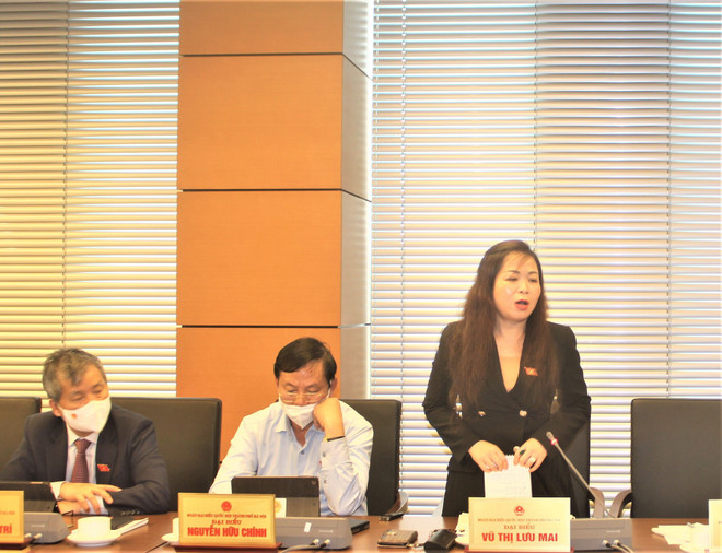 Đại biểu Quốc hội: Gói hỗ trợ rất cần thiết nhưng phải 'đúng và trúng' ảnh 2