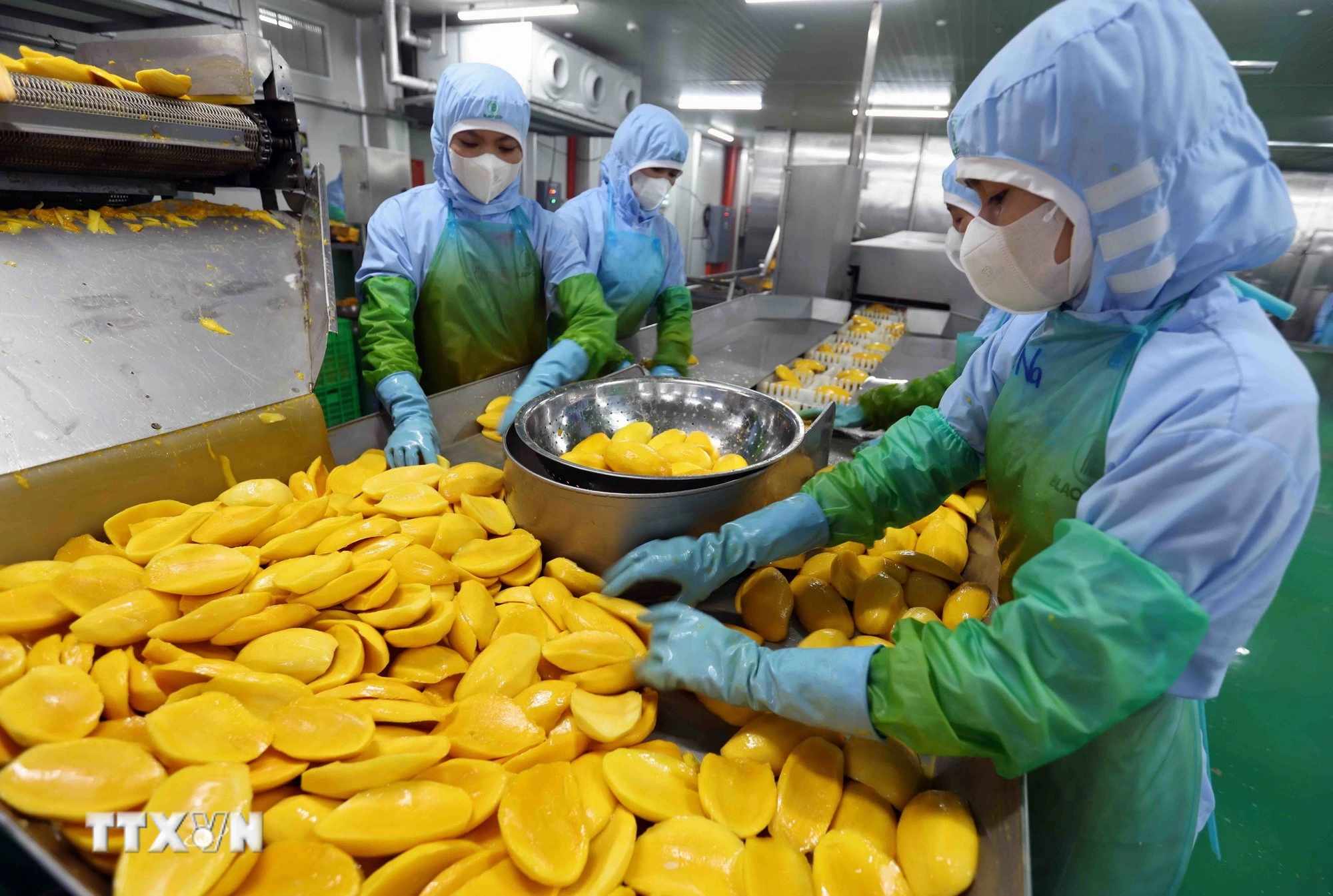 Việt Nam và Trung Quốc tăng cường hợp tác thương mại nông sản, mở rộng thị trường