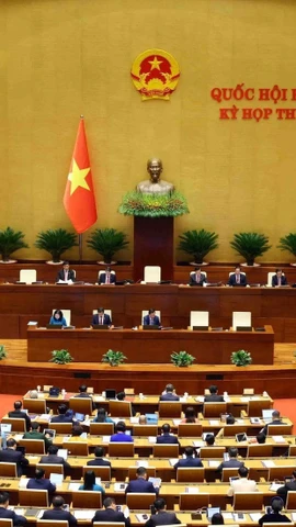 Các đại biểu Quốc hội trong kỳ họp lần thứ 10, Quốc hội khóa XV. (Ảnh: Doãn Tấn/TTXVN)