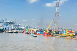 Năm 2024, Việt Nam xuất khẩu sang Hoa Kỳ chiếm khoảng 29,5% tổng kim ngạch xuất khẩu với giá trị đạt 119,5 tỷ USD. Các mặt hàng xuất khẩu chủ lực, gồm máy tính, sản phẩm điện tử, linh kiện, máy móc, thiết bị, dệt may và gỗ... (Ảnh: Vietnam+)