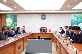 (Ảnh: CTV/Vietnam+)
