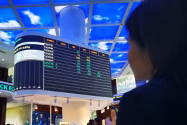 (Ảnh: TTXVN)