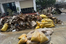 Nhiều hộ kinh doanh tại miền Trung hầu như mất trắng do kho chứa hàng bị ngập sâu. (Nguồn: Vietnam+)