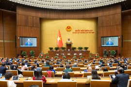 sáng ngày 19/2, Quốc hội đã biểu quyết thông qua Luật Ban hành văn bản quy phạm pháp luật (sửa đổi). (Ảnh: QH/Vietnam+)