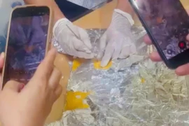 Bắt giữ hành khách nước ngoài vận chuyển 4,5 kg cocain qua Sân bay Tân Sơn Nhất