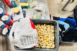 Từ ngày 15/12/2025 đến 14/2/2026, lực lượng Hải quan phối hợp cùng Công an và Bộ đội Biên phòng bắt giữ 42 đối tượng trong 35 vụ việc liên quan đến chất cấm. (Ảnh: HQ/Vietnam+)