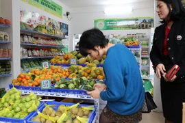 Tính chung cả quý 2, CPI bình quân tăng 3,31% so với cùng thời điểm năm 2024. (Ảnh: Vietnam+)