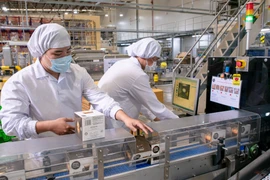 Chiến lược của Nestlé Việt Nam là xác định những thách thức mà người trẻ ở Việt Nam đang gặp phải và giúp họ vượt qua những thách thức đó. (Ảnh: Vietnam+)