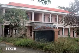 Ảnh minh họa. (Nguồn: TTXVN)