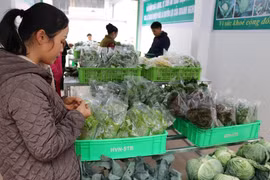 Việc số hóa sẽ giúp các hộ kinh doanh có khả năng tiếp cận vốn vay dễ dàng hơn. (Ảnh: Vietnam+)
