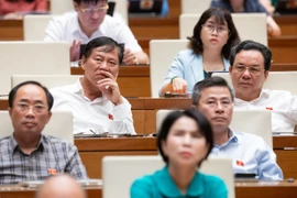 Trong bối cảnh xã hội đang lên án mạnh mẽ các hành vi tham nhũng, việc có nên duy trì hình phạt tử hình cho các tội danh này hay không đã trở thành một câu hỏi lớn, đòi hỏi sự cân nhắc kỹ lưỡng từ các nhà làm luật. (Ảnh: CTV/Vietnam+)