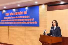 Bà Huyền thông tin về các quy định mới về Thuế giá trị gia tăng và Thuế tiêu thụ đặc biệt. (Ảnh: HQ/Vietnam+)