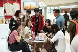 Các hoạt động hỗ trợ sẽ được triển khai theo nguyên tắc có trọng tâm, công khai, minh bạch và tiết kiệm nguồn lực. (Ảnh minh họa/Vietnam+)