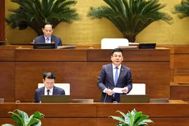 Bộ trưởng Bộ Công Thương Nguyễn Hồng Diên đã giải trình, làm rõ các ý kiến đóng góp đồng thời nhấn mạnh sự cần thiết của việc ban hành Nghị quyết về cơ chế đặc thù, nhằm đảm bảo tiến độ và hiệu quả của dự án. (Ảnh: TTXVN)